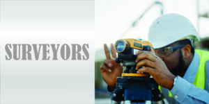 home button (SURVEYOR)